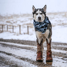 Load image into Gallery viewer, Wild Rags