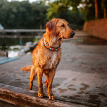 Load image into Gallery viewer, The Killarney Collar