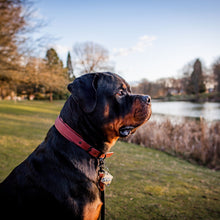 Load image into Gallery viewer, Layered Hyalite