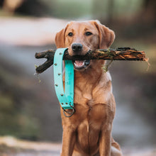 Load image into Gallery viewer, The Palisade