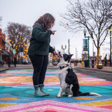 Load image into Gallery viewer, The Slip Cable Leash - Rolled Biothane