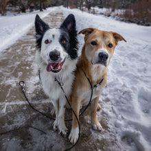 Load image into Gallery viewer, The Slip Cable Leash - Rolled Biothane