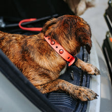 Load image into Gallery viewer, The McClaine Collar