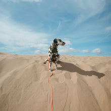 Load image into Gallery viewer, Rolled Biothane Long Line