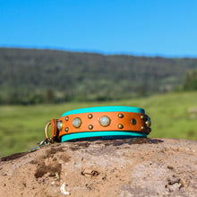 Load image into Gallery viewer, The Delta Collar