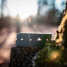 Load image into Gallery viewer, Crystal biothane dog collar