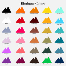 Load image into Gallery viewer, The Sundance Leash - Rolled Biothane