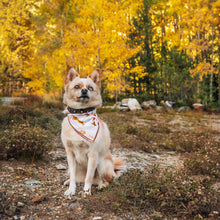 Load image into Gallery viewer, The Boedecker