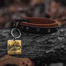 Load image into Gallery viewer, Crystal biothane dog collar