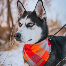 Load image into Gallery viewer, Winter Bandanas