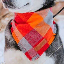 Load image into Gallery viewer, Winter Bandanas