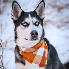 Load image into Gallery viewer, Winter Bandanas