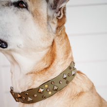 Load image into Gallery viewer, Handmade Biothane webbing dog collar with crystals and studs