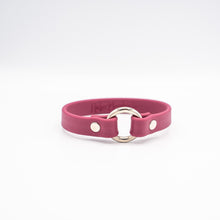 Load image into Gallery viewer, Mini Seeley - ID Collar 10" (Multiple Colors)