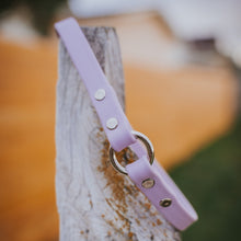 Load image into Gallery viewer, The Seeley