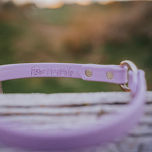 Load image into Gallery viewer, The Seeley