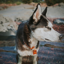 Load image into Gallery viewer, The Rivers