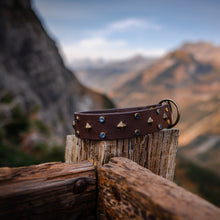 Load image into Gallery viewer, Crystal Biothane dog collar