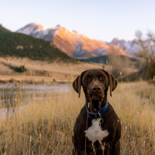 Load image into Gallery viewer, Handmade Biothane webbing dog collar with studs