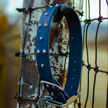 Load image into Gallery viewer, Handmade Biothane webbing dog collar with studs