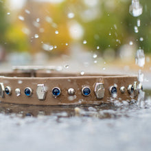 Load image into Gallery viewer, Handmade Biothane webbing dog collar with crystals and studs