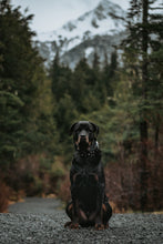 Load image into Gallery viewer, The Telemark