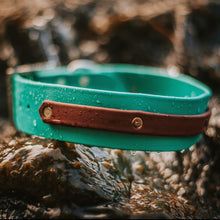 Load image into Gallery viewer, biothane dog collar