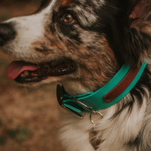 Load image into Gallery viewer, biothane dog collar

