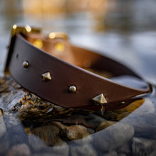 Load image into Gallery viewer, Crystal biothane dog collar