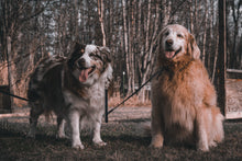 Load image into Gallery viewer, Leash Splitter