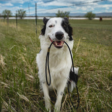 Load image into Gallery viewer, The Slip Cable Leash - Rolled Biothane
