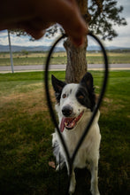 Load image into Gallery viewer, The Cable Leash - Rolled Biothane