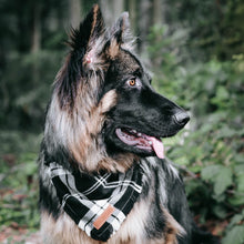 Load image into Gallery viewer, Wild West Bandana