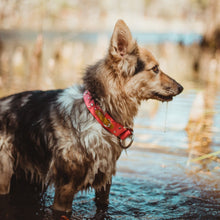 Load image into Gallery viewer, Handmade Biothane webbing dog collar with crystals and studs