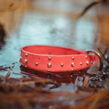 Load image into Gallery viewer, Handmade Biothane webbing dog collar with crystals and studs