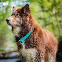 Load image into Gallery viewer, The Triple Tree