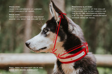Load image into Gallery viewer, The Flathead Collar