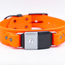 Load image into Gallery viewer, Fi Compatible Hyalite: Layer Mounted