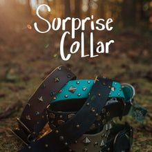 Load image into Gallery viewer, Surprise Embellished Collar
