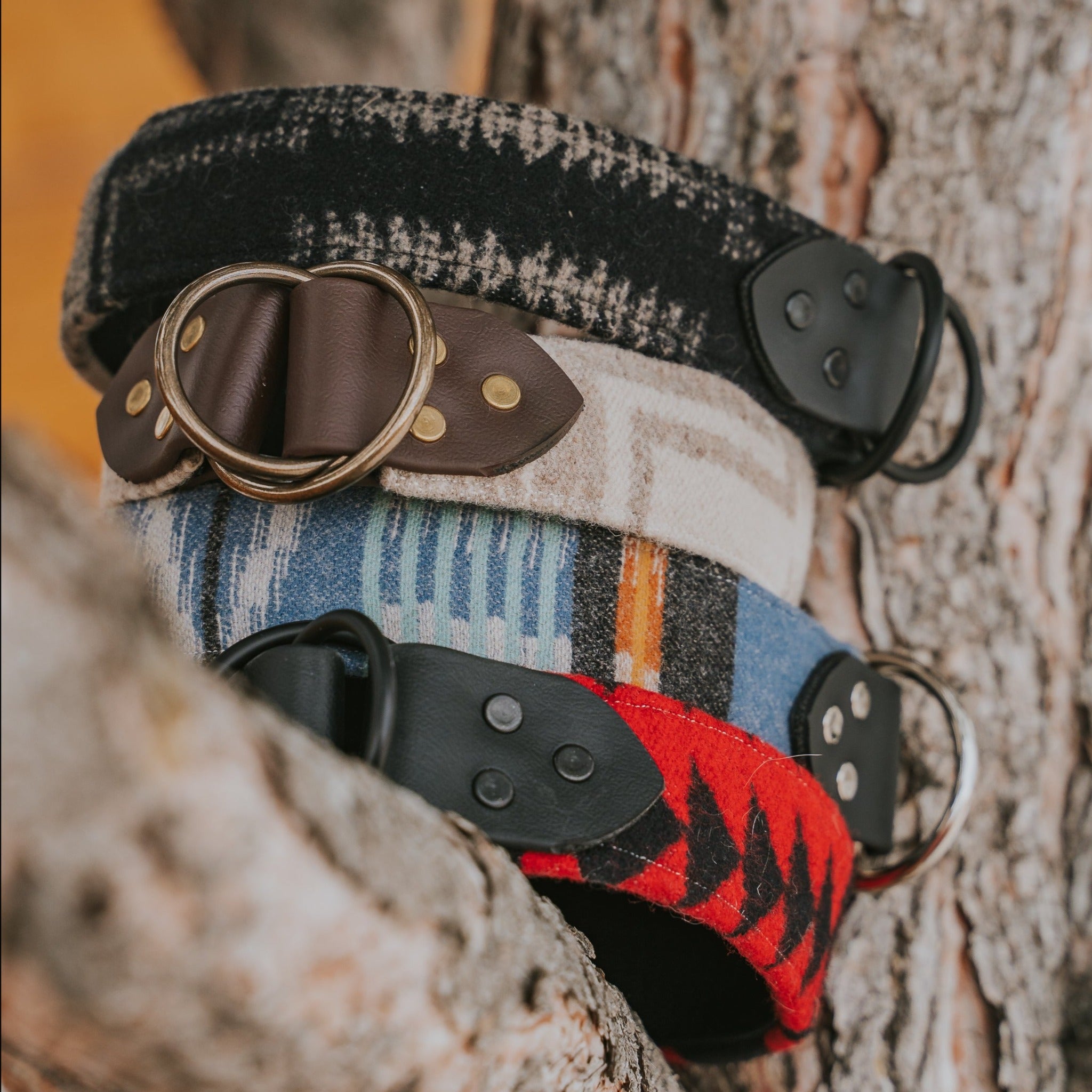 Pendleton Dog Collars