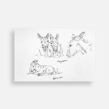 Load image into Gallery viewer, Western Sketches Postcard Pack
