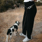The Sundance Leash