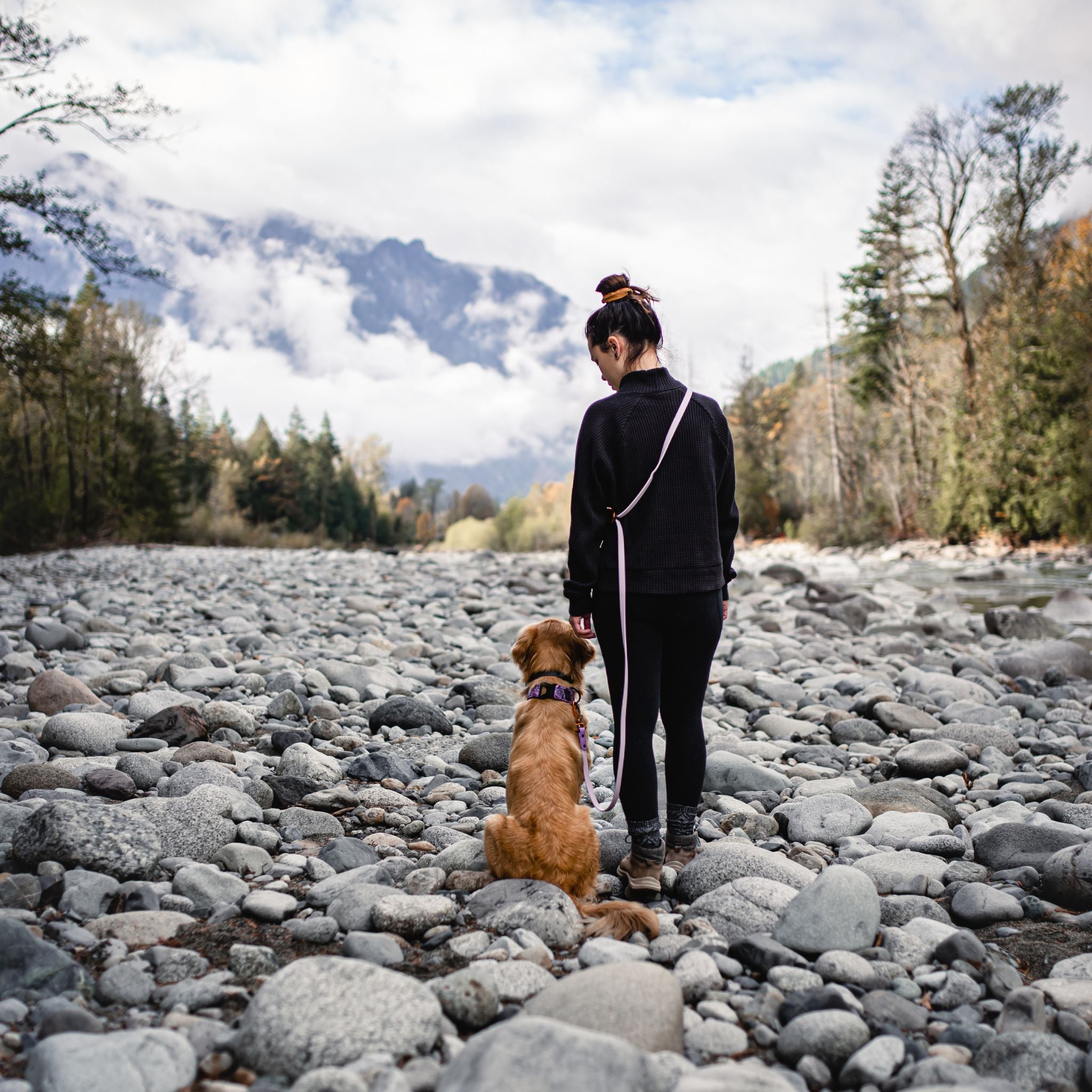 The Sundance Leash