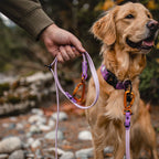 The Sundance Leash