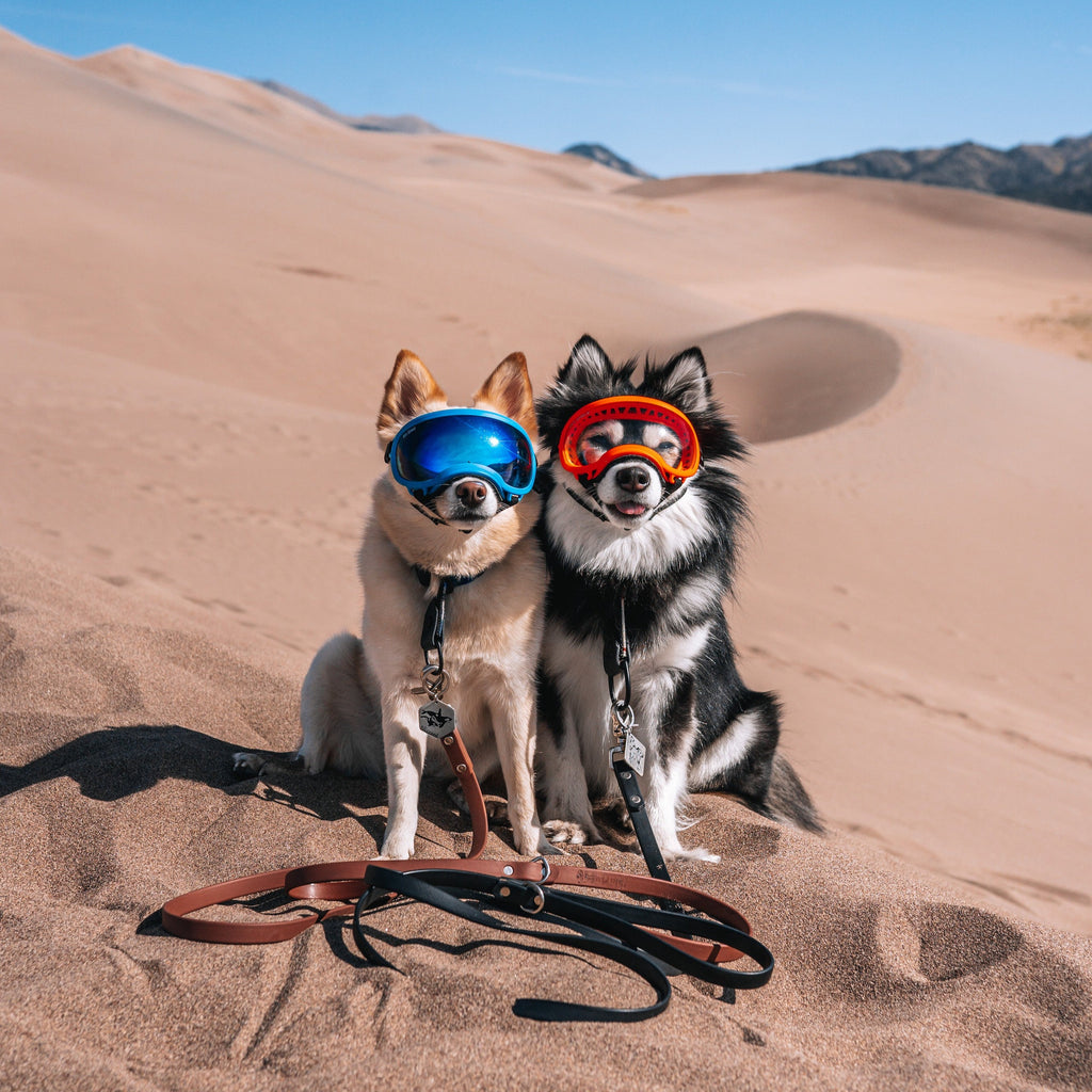 The Cable Leash