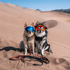 The Cable Leash