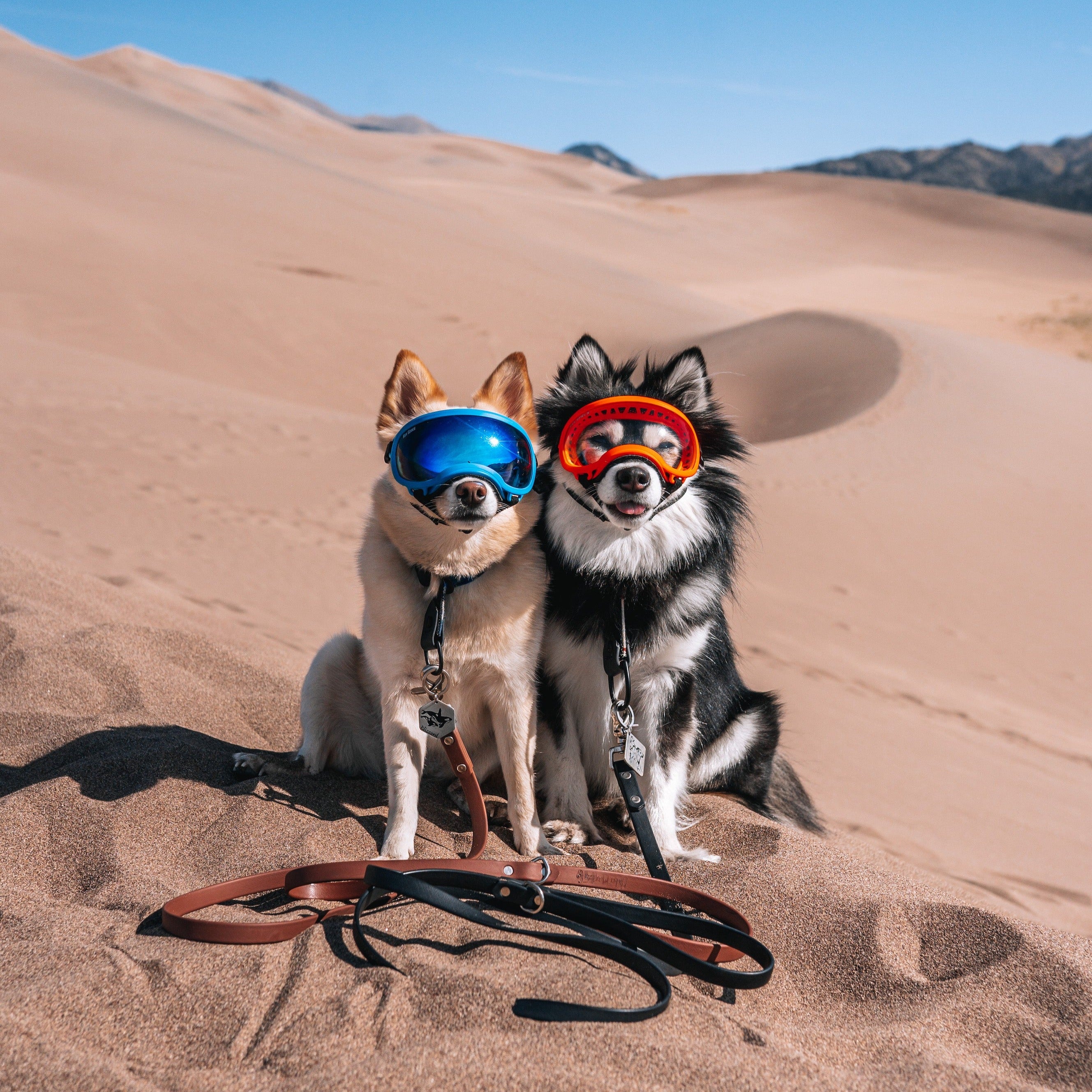 The Cable Leash