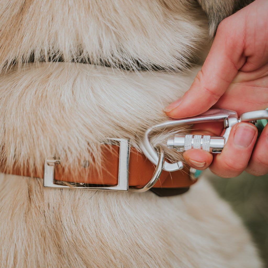 Auto Locking Carabiner Upgrade