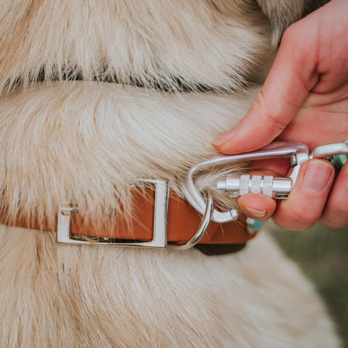 Auto Locking Carabiner Upgrade