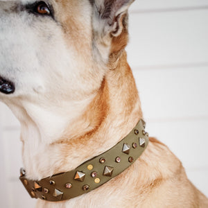 Handmade Biothane webbing dog collar with crystals and studs